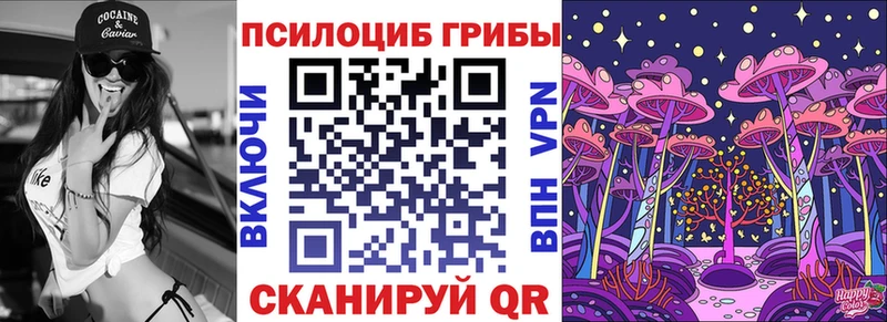 Купить закладки  Тюмень  Псилоцибиновые грибы Psilocybine cubensis 